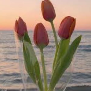 Meet your Posher, Jade